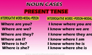 Noun cases present tense | Interrogative words | Speak well 